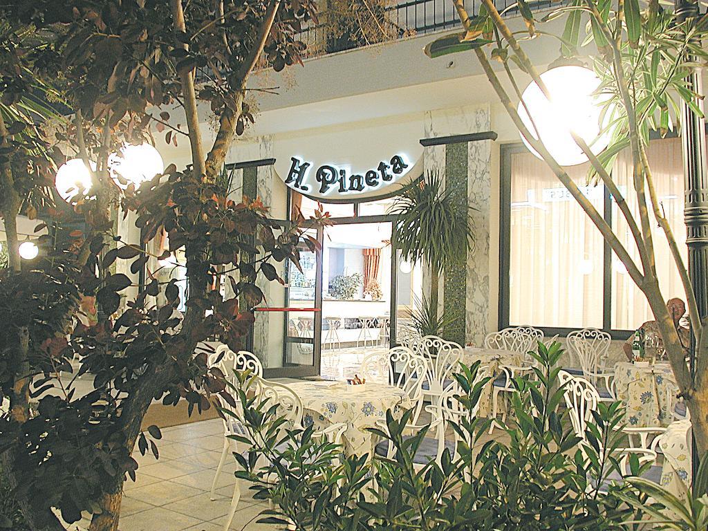 Hotel Pineta Bellaria-Igea Marina Bagian luar foto